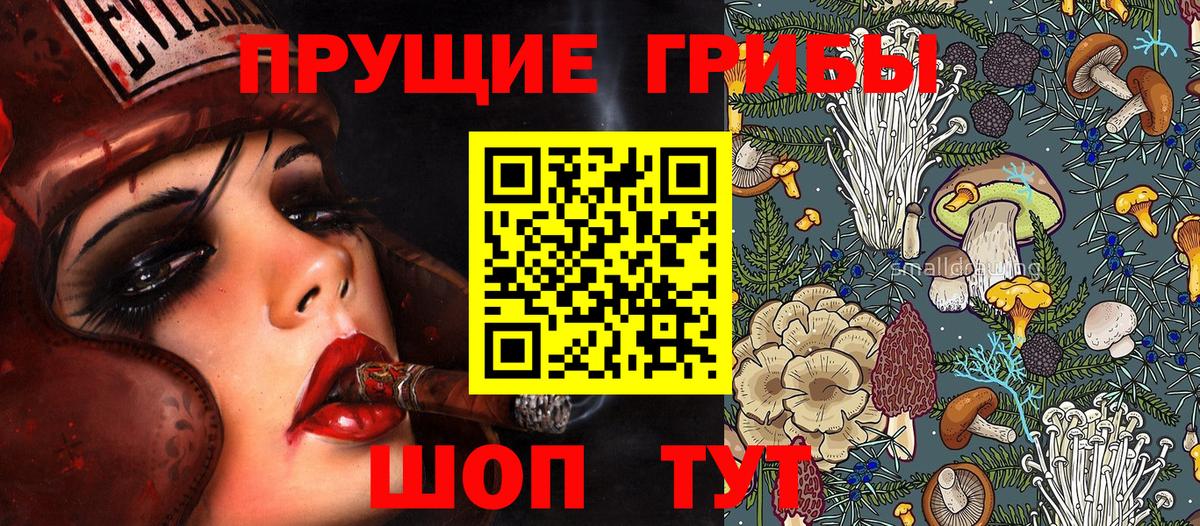 Псилоцибиновые грибы MAGIC MUSHROOMS Лесозаводск