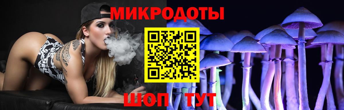 Псилоцибиновые грибы Psilocybine cubensis  Вход с VPN  Лесозаводск 